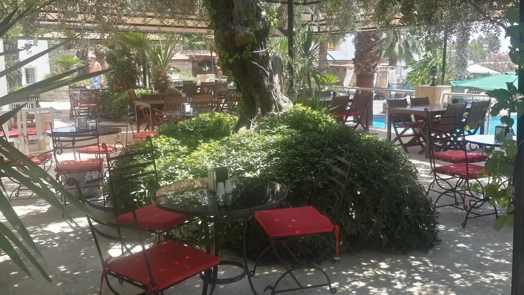 La Rosa Hotel Gümbet Εξωτερικό φωτογραφία