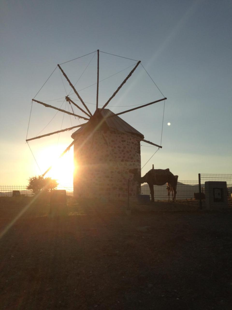 La Rosa Hotel Gümbet Εξωτερικό φωτογραφία